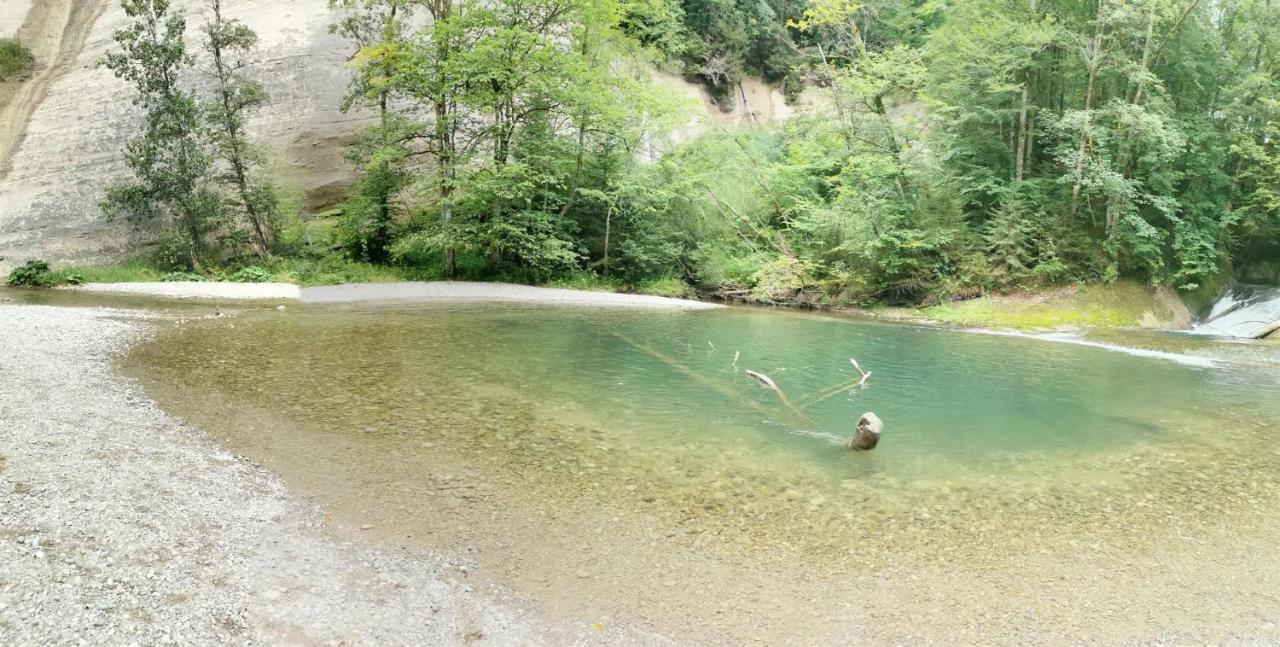 Ferienwohnung Nest Wangen im Allgäu Екстериор снимка